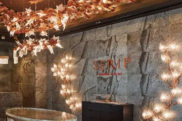 Lux and Beyond Serip