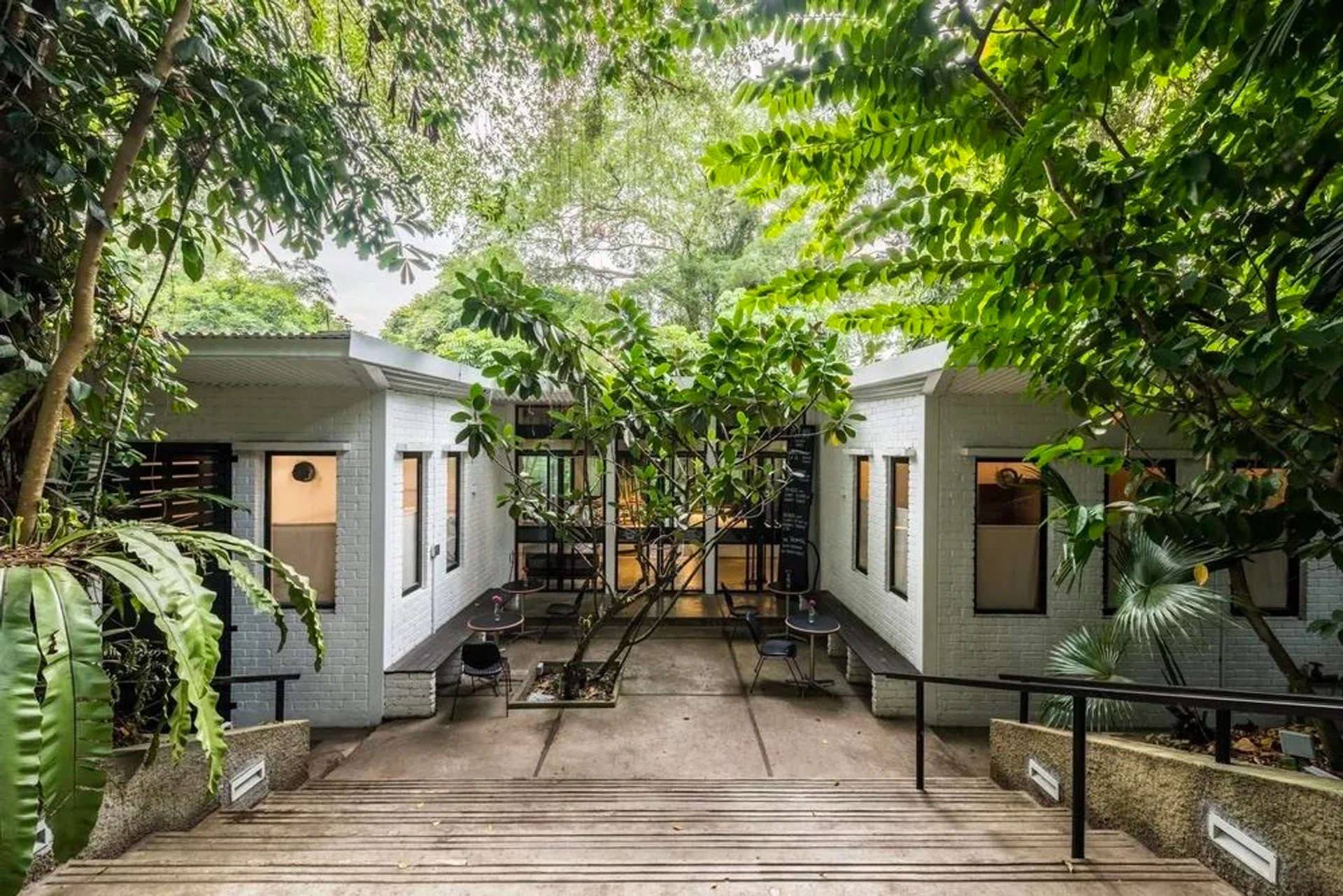 pet-friendly cafe