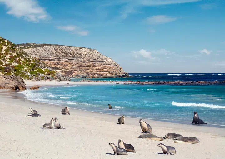kangaroo island