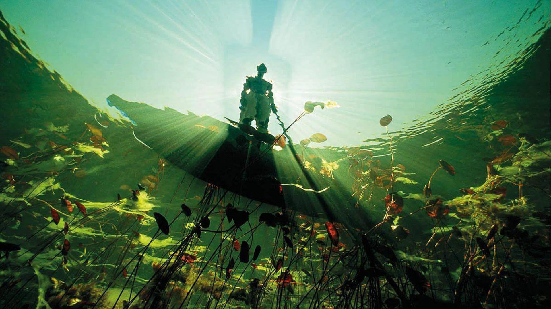 <b>Okavango Delta, Botswana</b><p>This underwater garden was a living Monet painting that flowed in the current. When I looked up, I saw a Bayei fisherman looking down at me. His silhouette resembled an African carving. There was absolute silence and the scene was entirely surreal.</p><i>Photo: David Doubilet</i>