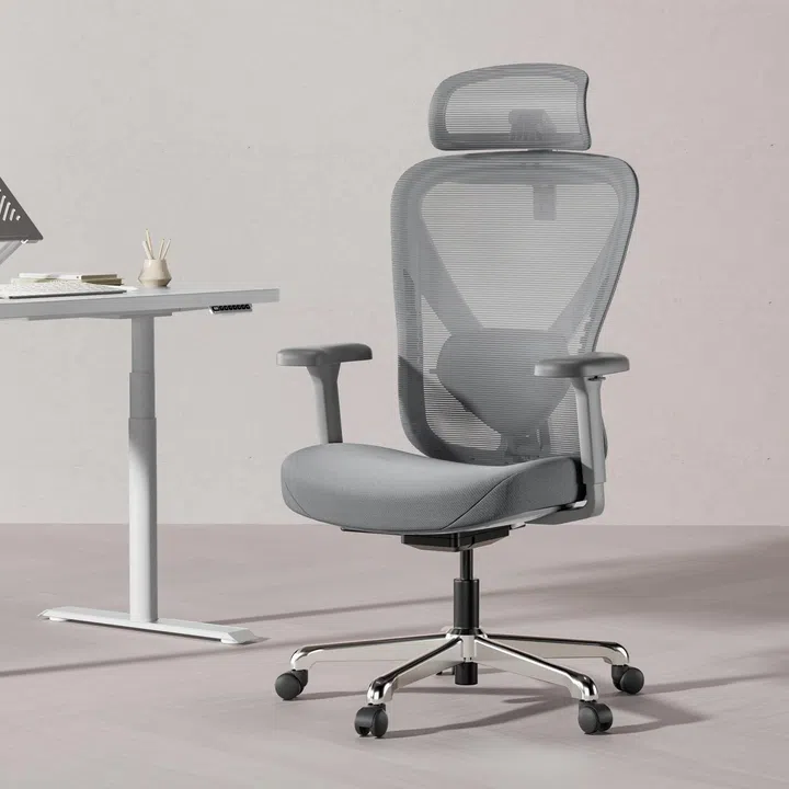 Hinomi Q1 Ergonomic Office Chair