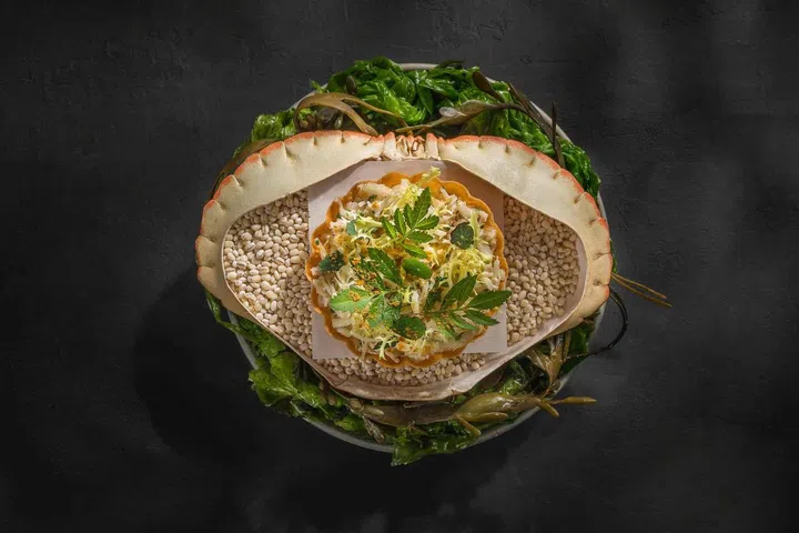 Irish Brown Crab. Photo: Cure