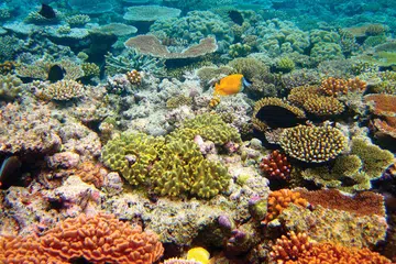 Great Barrier Reef