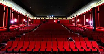 1 picturehouse the projector pop up the cathay cinema
