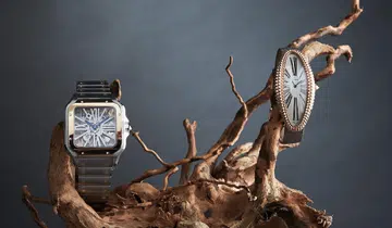 cartier accessories