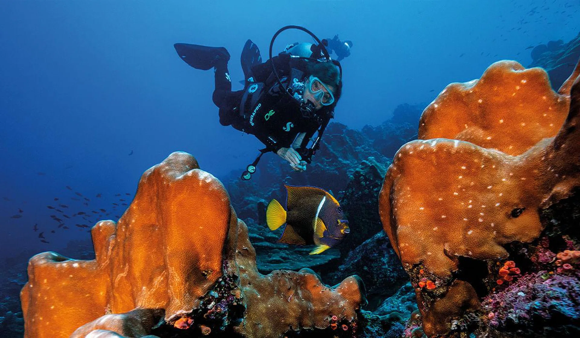 Sylvia Earle dives among the reefs of the Galápagos Islands Hope Spot.