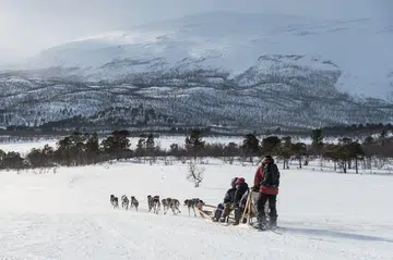 dog-pulled sled in a snowy landscape with a snow-capped mountain backdrop