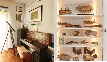 Fossil Collector home