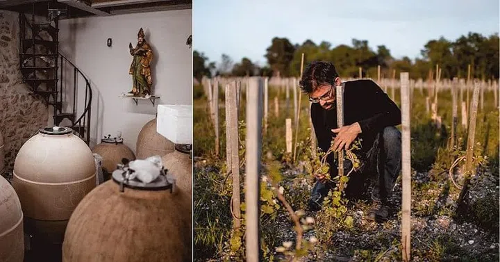 world most expensive wine liber pater