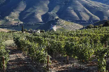 Portugal Duoro Valley
