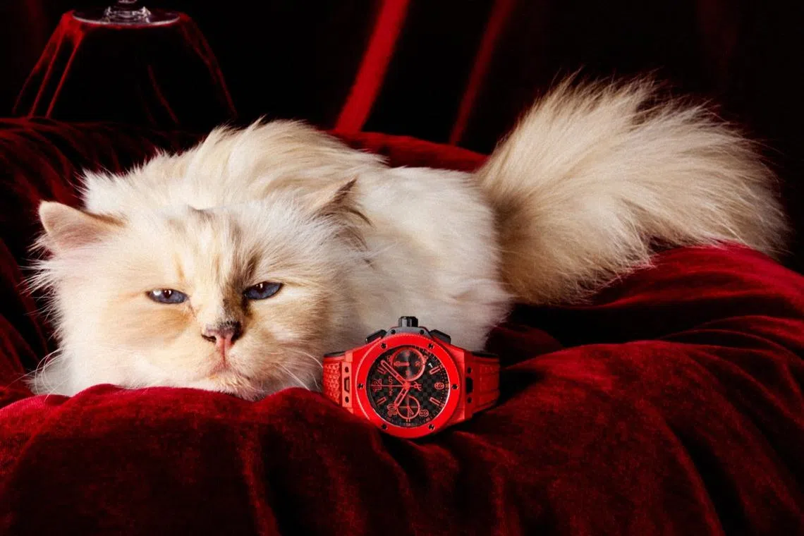 Remember Choupette? The late Karl Lagerfeld’s cat fronts the new Hublot ...