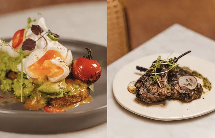 Smashed avocado with vine leaf verde; grilled grass-fed lamb chops. Photos: Terra Madre