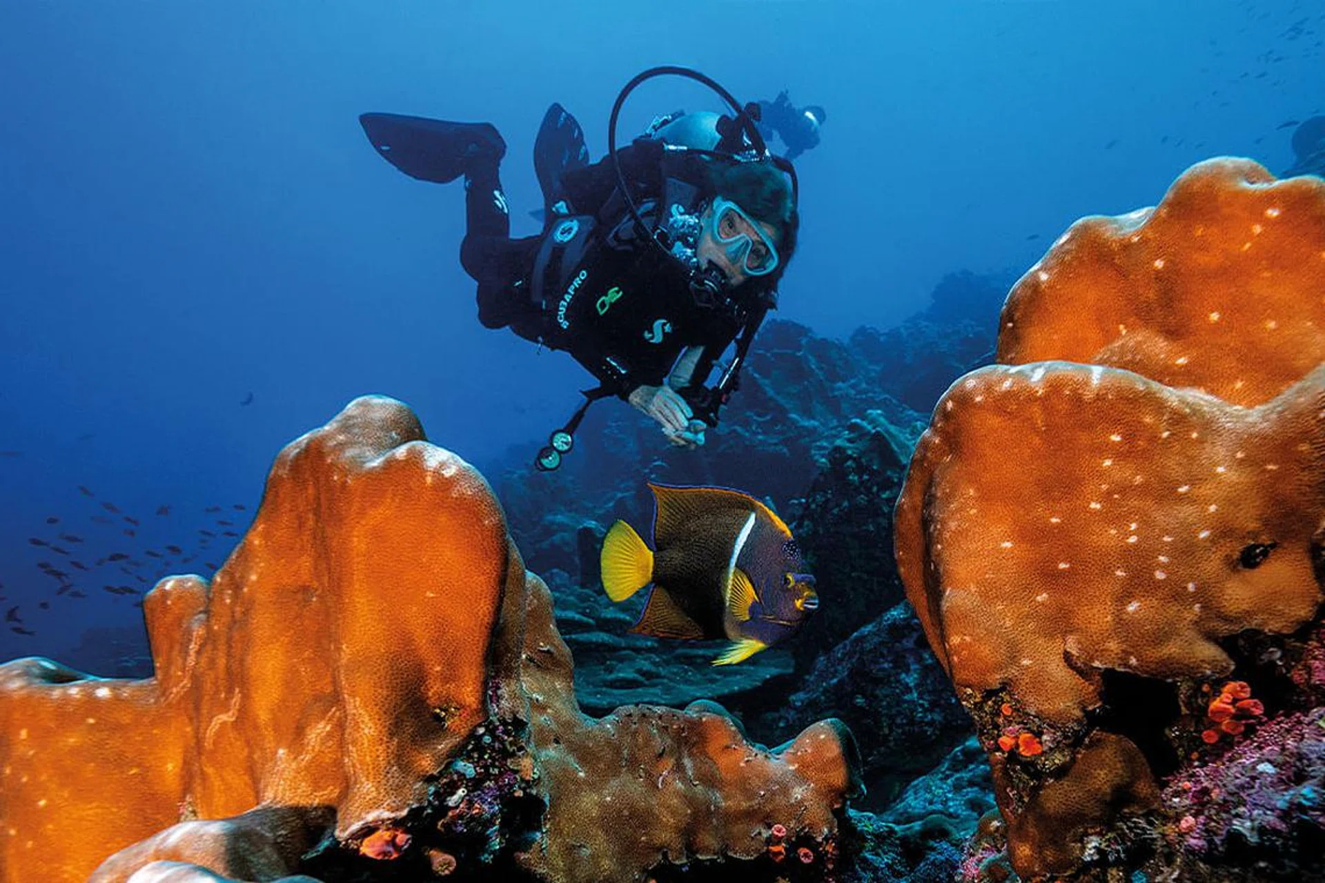 Sylvia Earle dives among the reefs of the Galápagos Islands Hope Spot.