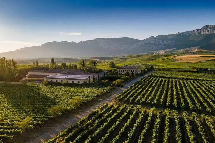 The vineyards of Spanish wine group La Rioja Alta