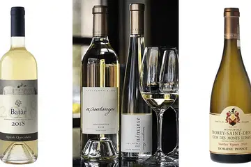 benchmark white wines