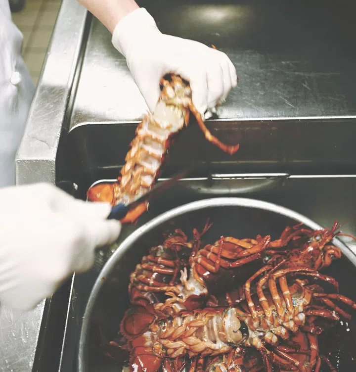 Dinner-Service