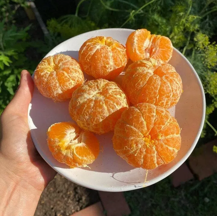 Photo: Fruitarian / Instagram