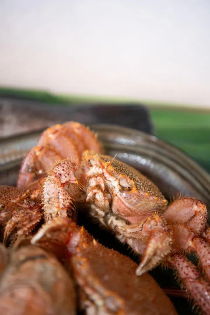 The summer menu currently features a number of speciality seafood, including kegani (horsehair crab), which is delicately blanched and complemented by a vinegar-dashi jelly in the sakizuki course. (Photo: Zeniya Singapore)
