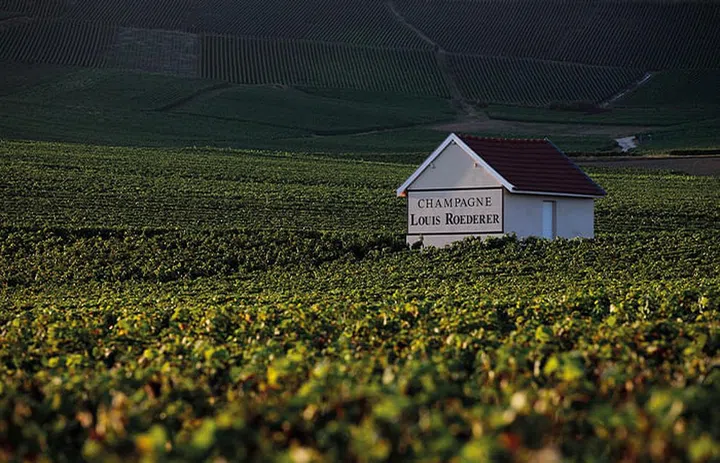 Cristal producer Louis Roederer makes a duo of still wines, a pinot noir and chardonnay, labelled Coteaux Champenois.