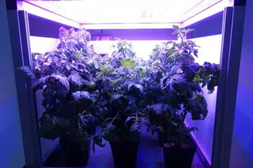 space gardening