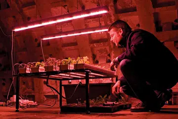 Growing Underground London