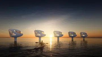 seapods