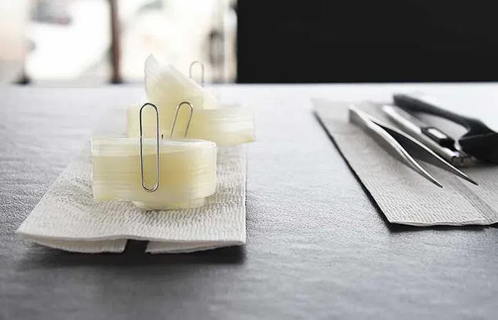 Thin slices of white asparagus – one of the ingredients for a dish of scallops, bone marrow and white asparagus – is seen in the kitchen of restaurant Vespertine, in Culver City, California. Photo courtesy of Robyn Beck / AFP 