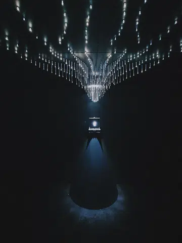 Louis Vuitton World Second Largest Diamond
