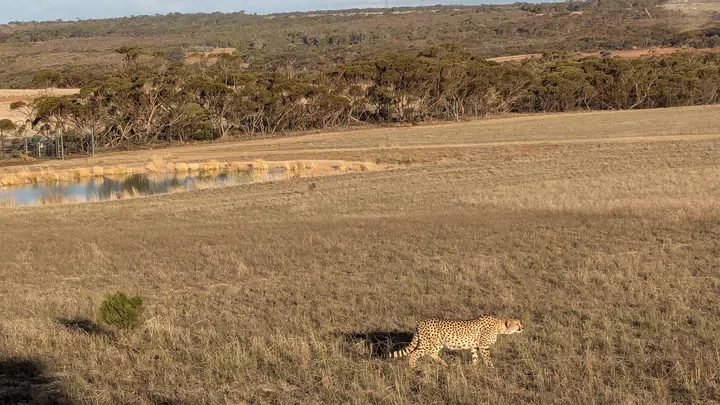 Monarto Safari Resort