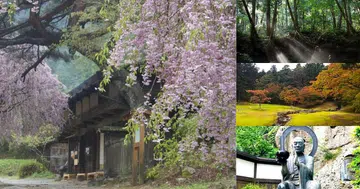 Japan Nature