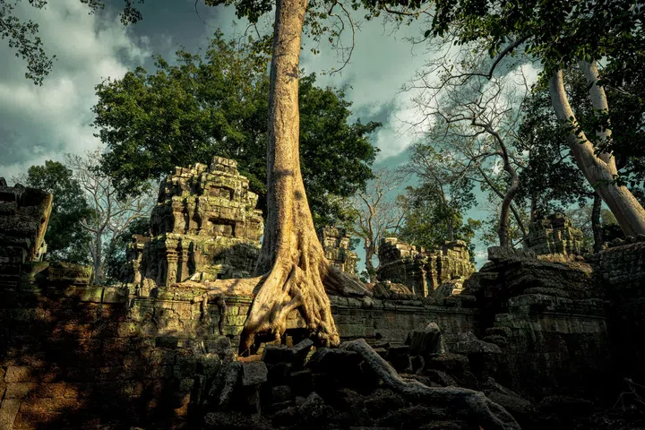 cambodia