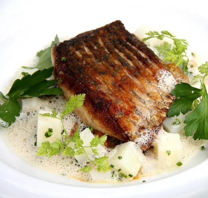 rocks-seabass