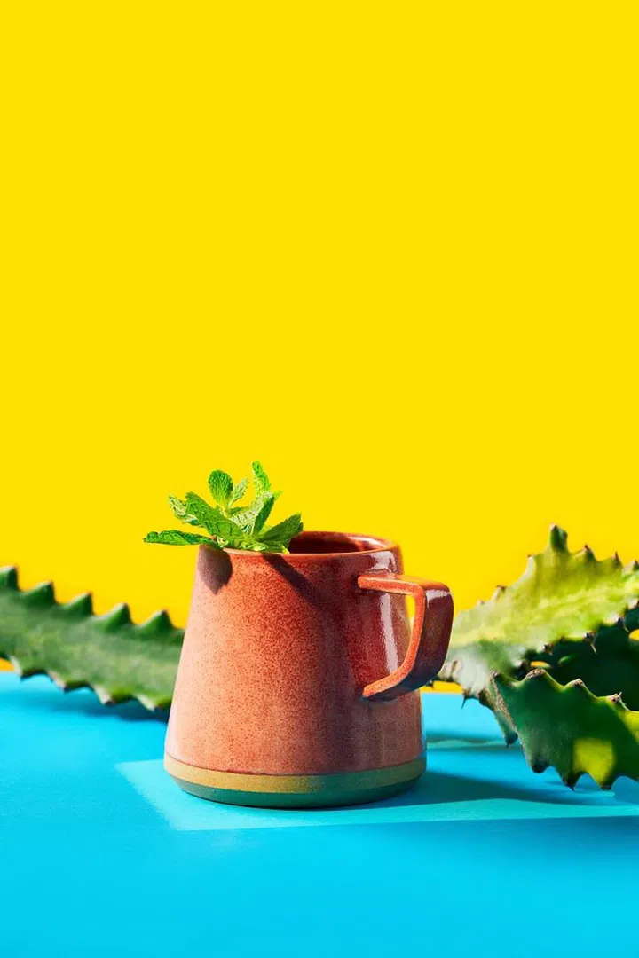 Cactus Mojito. (Photo: El Chido)