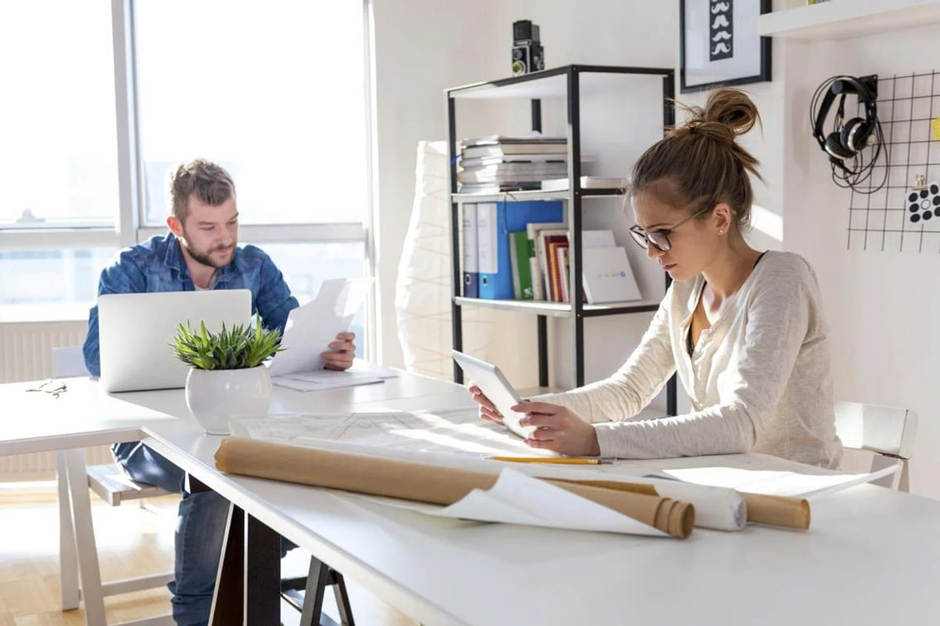 plant_for_reducing_stress