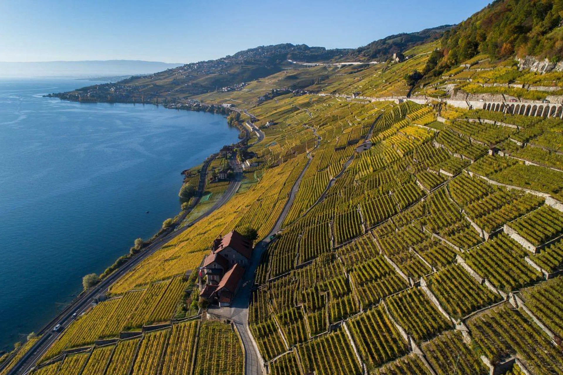 An aerial view shows the Unesco World Heritage Site of Lavaux with its terraced vineyards above Lake Geneva on Oct 11, 2017 near Chexbres, western Switzerland. (Photo: Fabrice COFFRINI / AFP)