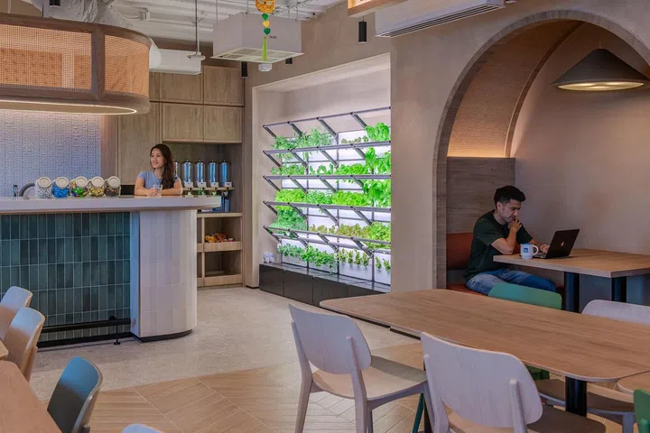 A Grobrix farm in an office (Image: Grobrix)