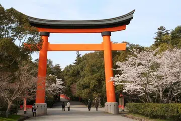 walk japan