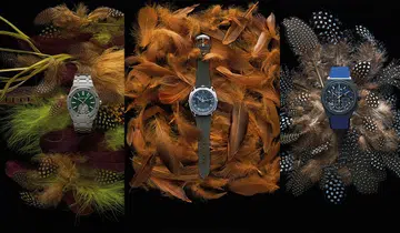 Luxury Watches