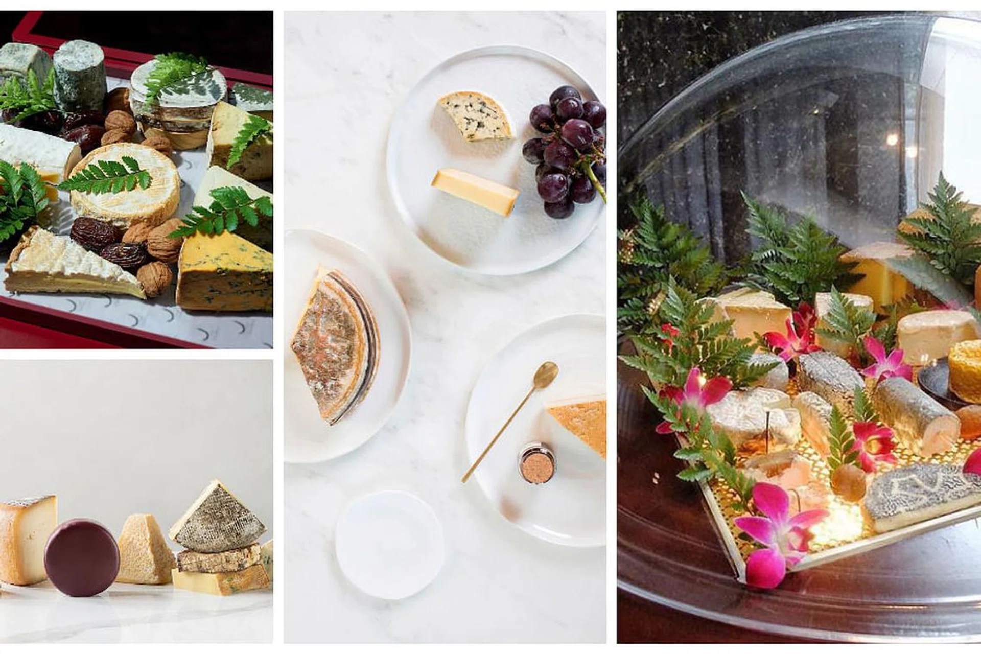 Best Cheese Trolleys Singapore