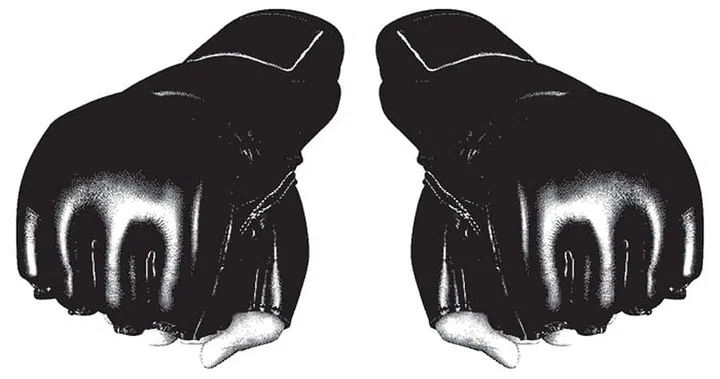 GLOVES