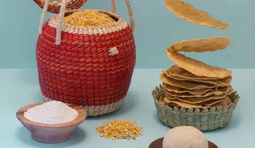 mexican cuisine