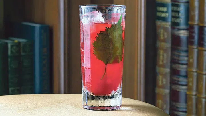 Watermelon Crispa, Cook & Tras Social Library