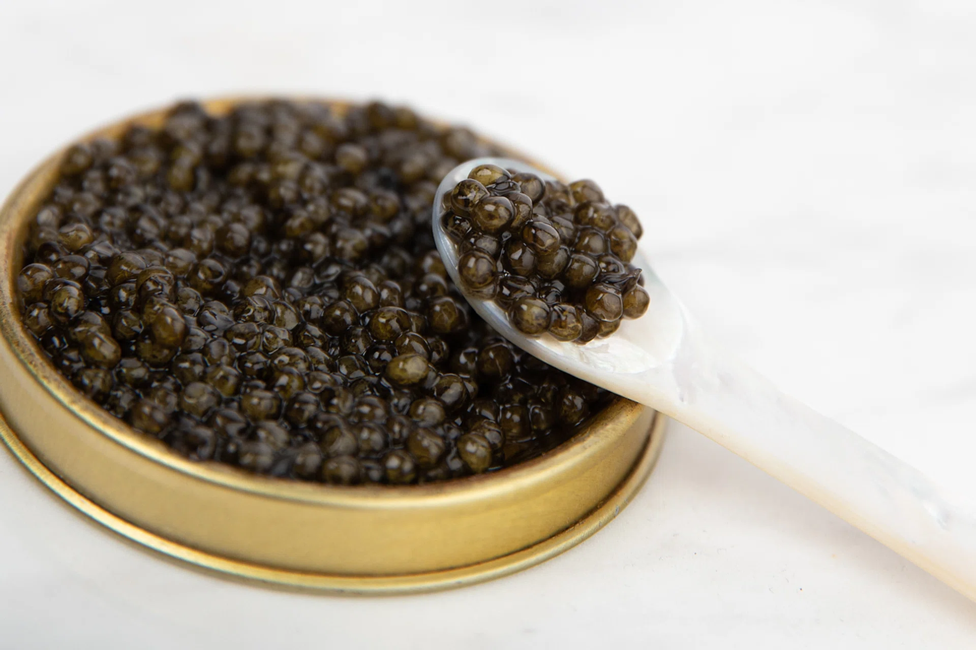 A spoon of caviar from Caviar Colony | best caviar Singapore