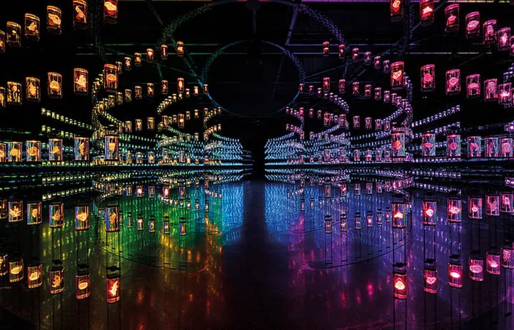 A DNA library of thousands of species encourages visitors to repair the damages of climate change.