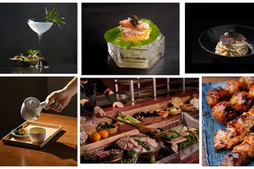 Sophisticated Japanese Cocktail Bars in Singapore with Delicious Food