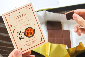 fossa chocolate sustainability