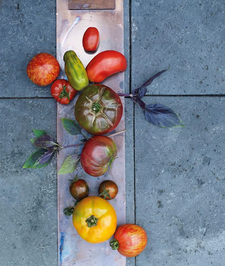 Vegetables are picked at sunrise and served on the same day.