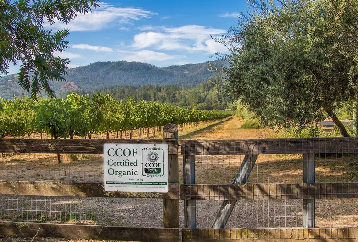 Spottswoode Estate: A sustainability pioneer for over 30 years