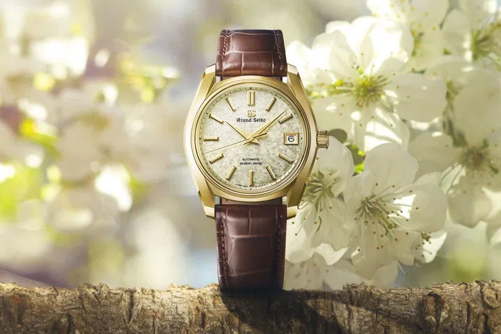 compact men’s watches