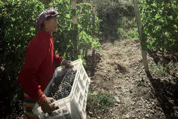 Tibetan Farmers in Ao Yun